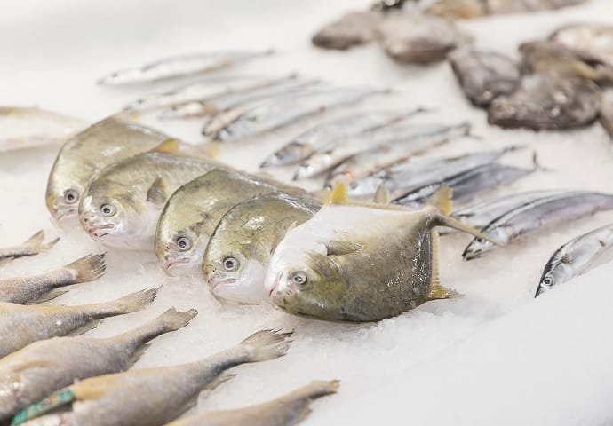 Fish Processing Plant&Fishing Boat Seafood Cooling