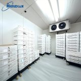 Export-grade fruit cold room with multi-temperature zones