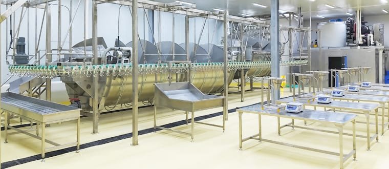 chicken-slaughtering-machine