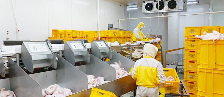 low-temp-industrial-freezer-for-meat