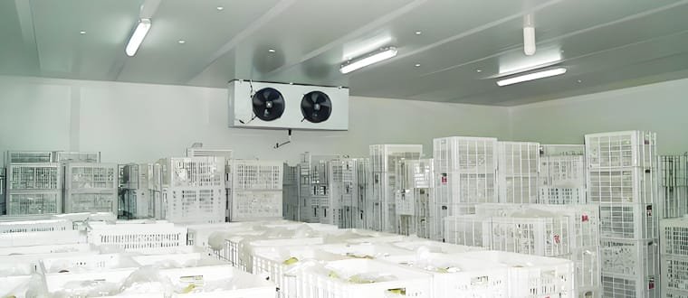 cold room for meat/seafood/fruits/vegetables