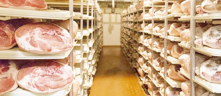 chicken-meat-blast-freezer-room