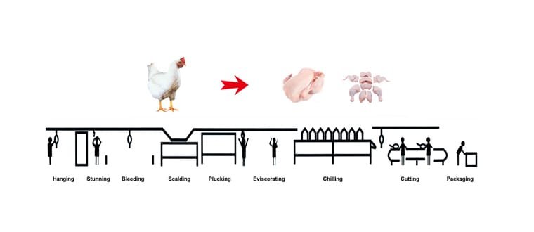 small-scale-poultry-processing-plant