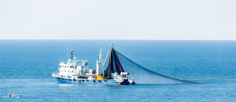 Fish Processing Plant&Fishing Boat Seafood Cooling