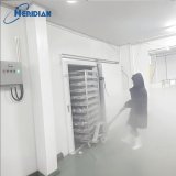 Inside view of a -30°C to -60°C blast freezer room