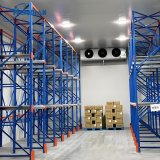 bulk-meat-storage-cold-room-800t