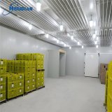 small-cold-storage-room-100-ton