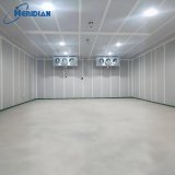 Digital monitoring panel for blast freezer room -45°C