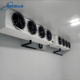 -60°C blast freezer with adjustable temperature control