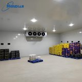 vegetable-storage-refrigeration-room