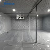 frozen-seafood-cold-room