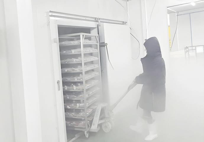 Chicken Meat Blast Freezer/Quick-Freezing Cold Storage Room