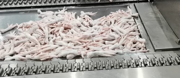 chicken-feet-peeling-machine